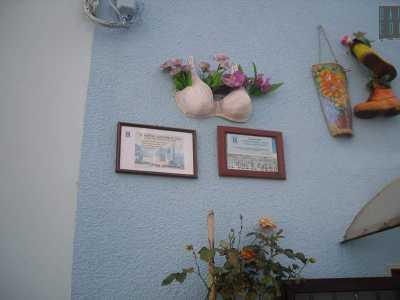 �Non avendo un balcone ho appeso un vecchio reggiseno sul muro e l'ho riempito di piante - dice Rosa -. Vivo qui da qualche anno e credo che questa zona sia un patrimonio meraviglioso: e pensare che anch'io conoscevo Casamassima solo per l'ipermercato�
